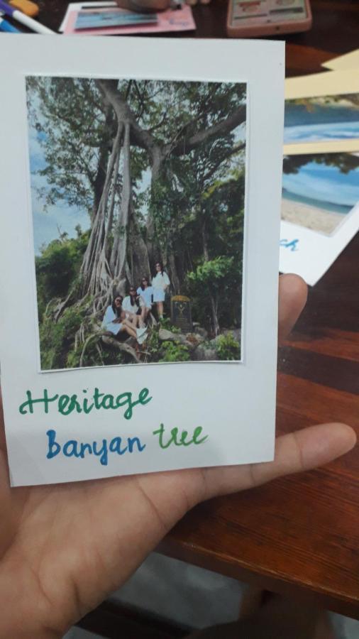 Gia Thành Homestay Hội An Ngoại thất bức ảnh